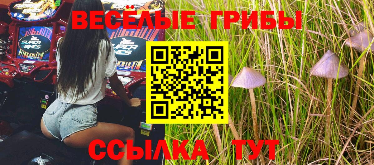 Псилоцибиновые грибы ЛСД Октябрьский