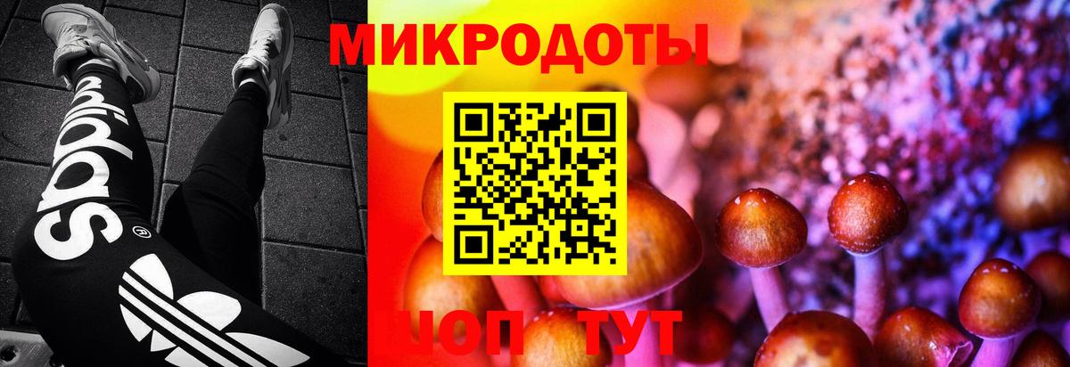 Октябрьский  Псилоцибиновые грибы Psilocybine cubensis  Псилоцибиновые грибы мицелий  Вход с VPN 