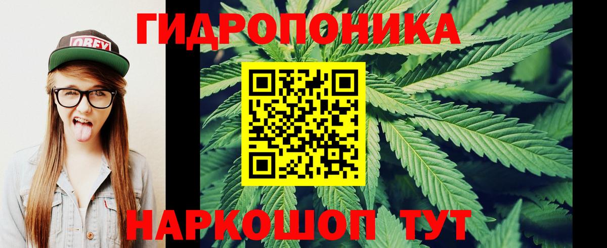 Конопля планчик  Бошки марихуана конопля  Октябрьский  Каннабис Ganja  Вход с VPN 